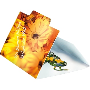 Bustina di semi Bumble