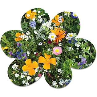 Bustina di semi Bloom