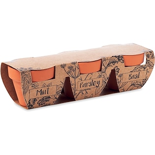 Pianta da interno Fairfield