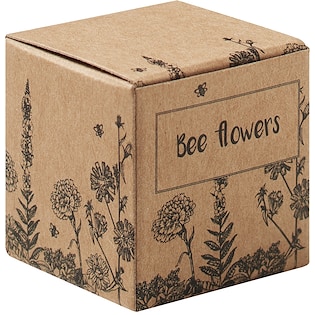 Bomba di semi Bee Flowers