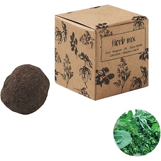 Bomba di semi Clearville