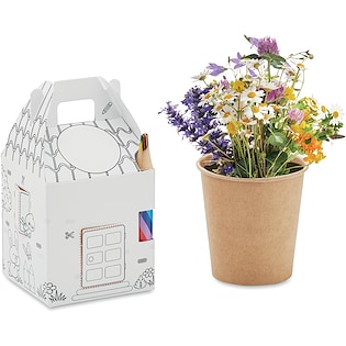 Set da coltivazione Cillian