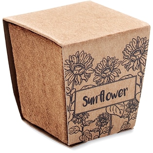 Set da coltivazione Sunny