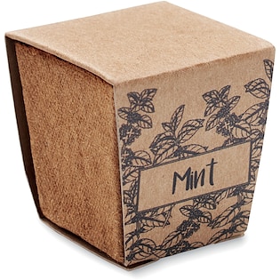 Set da coltivazione Minty