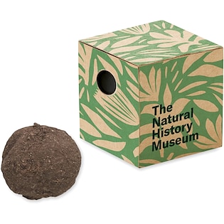 Set da coltivazione Gio