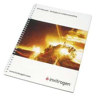 Blocco di fogli a spirale Yale A4