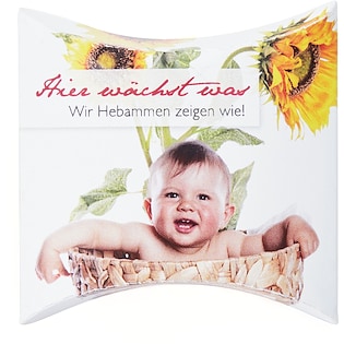 Kit di semi Sunshine